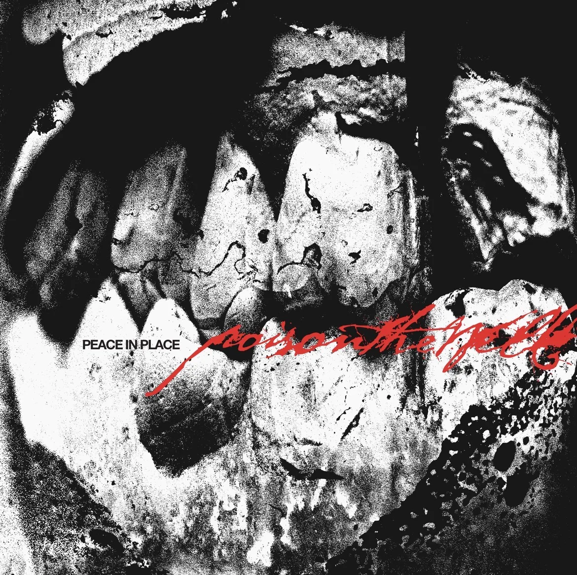 Official album cover artwork for Peace in Place by Poison the Well