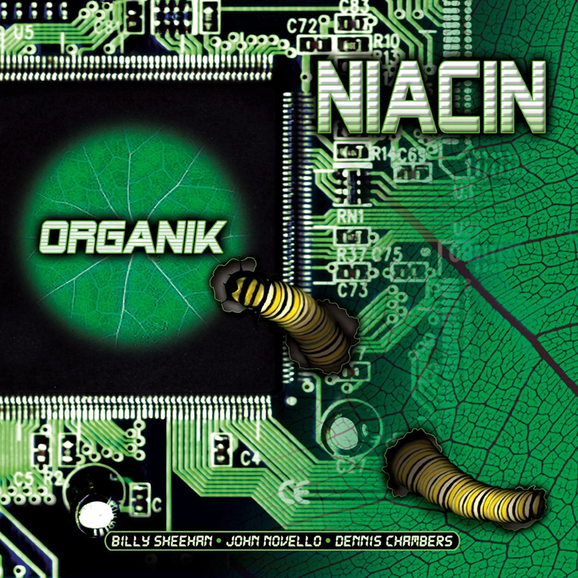 Official album cover art for the release Organik by Niacin