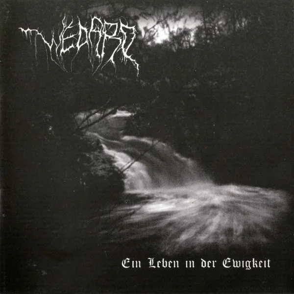 Official album cover art for the release Ein Leben in der Ewigkeit by Wedard