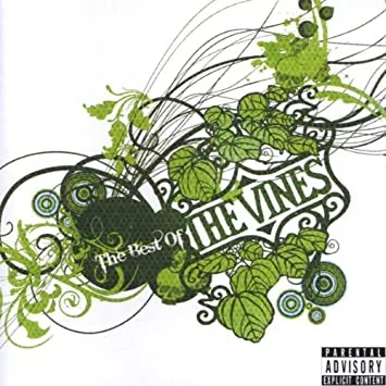 Official album cover art for the release The Best of the Vines by The Vines