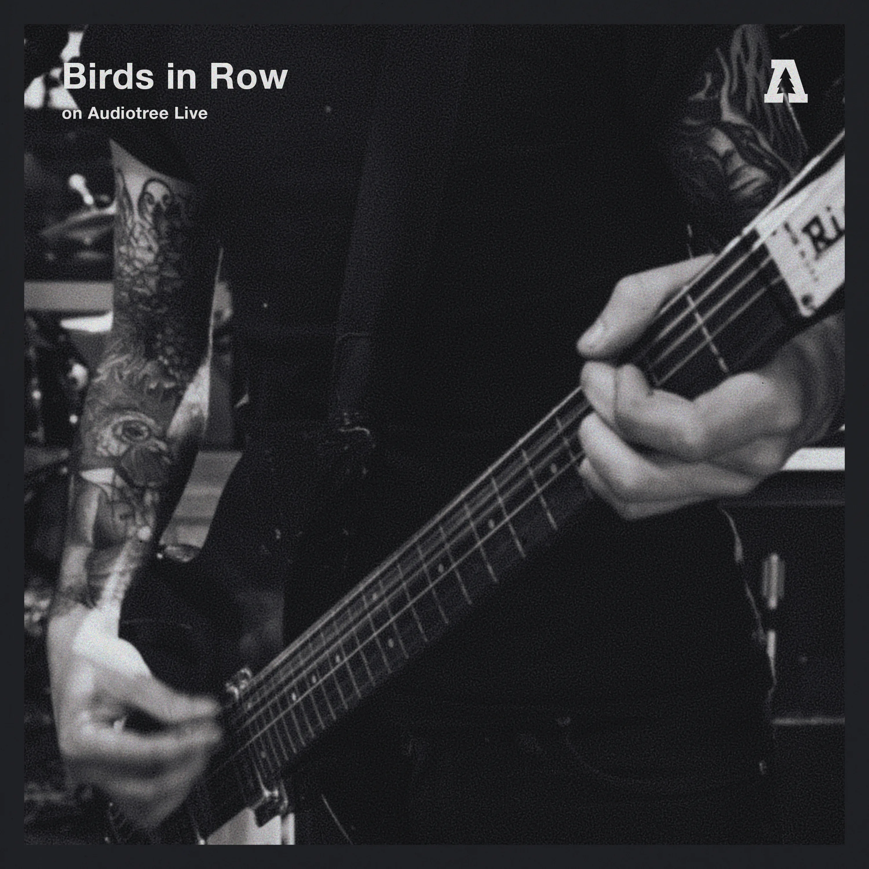 Official album cover art for the release Audiotree Live by Birds in Row