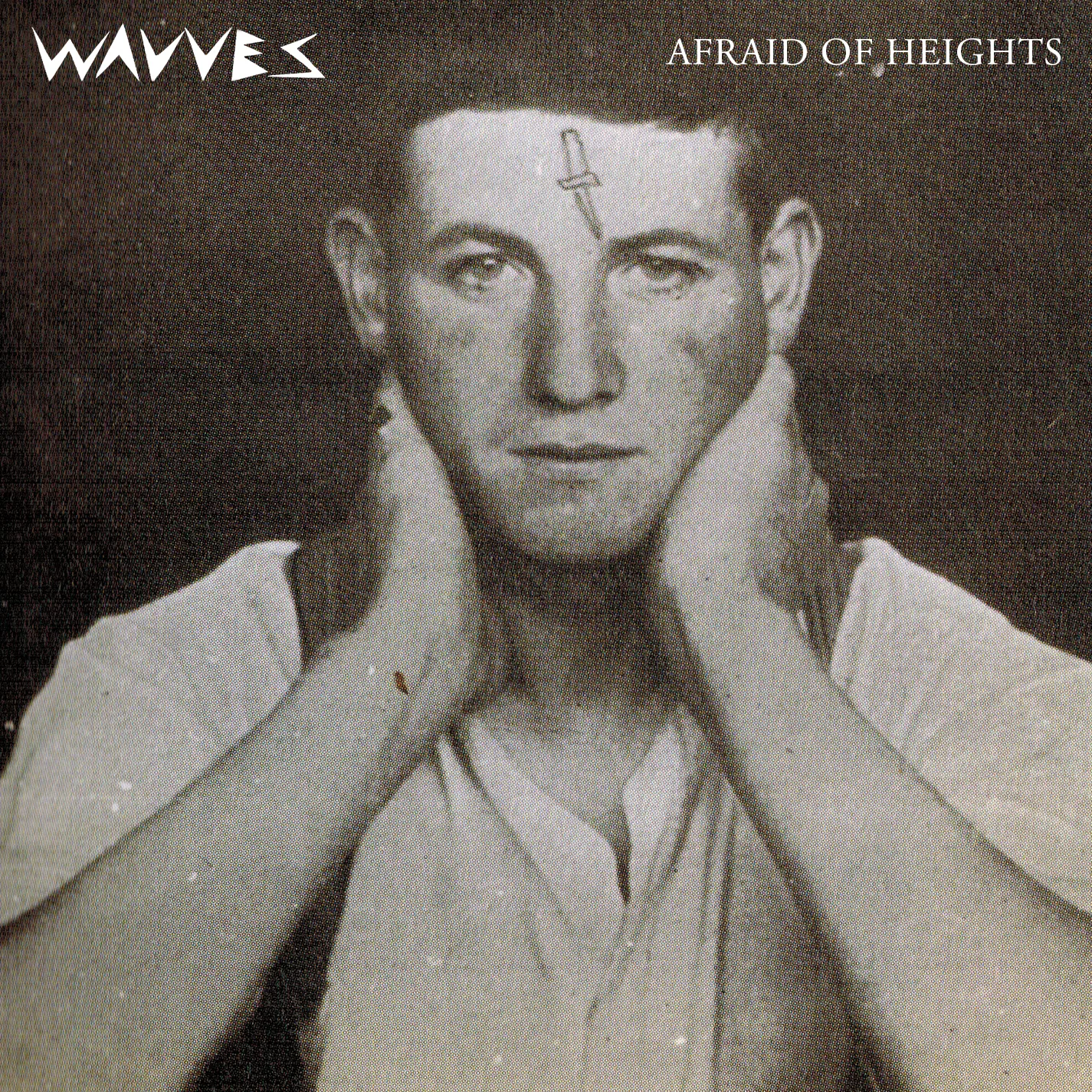 Official album cover art for the release Afraid of Heights by Wavves