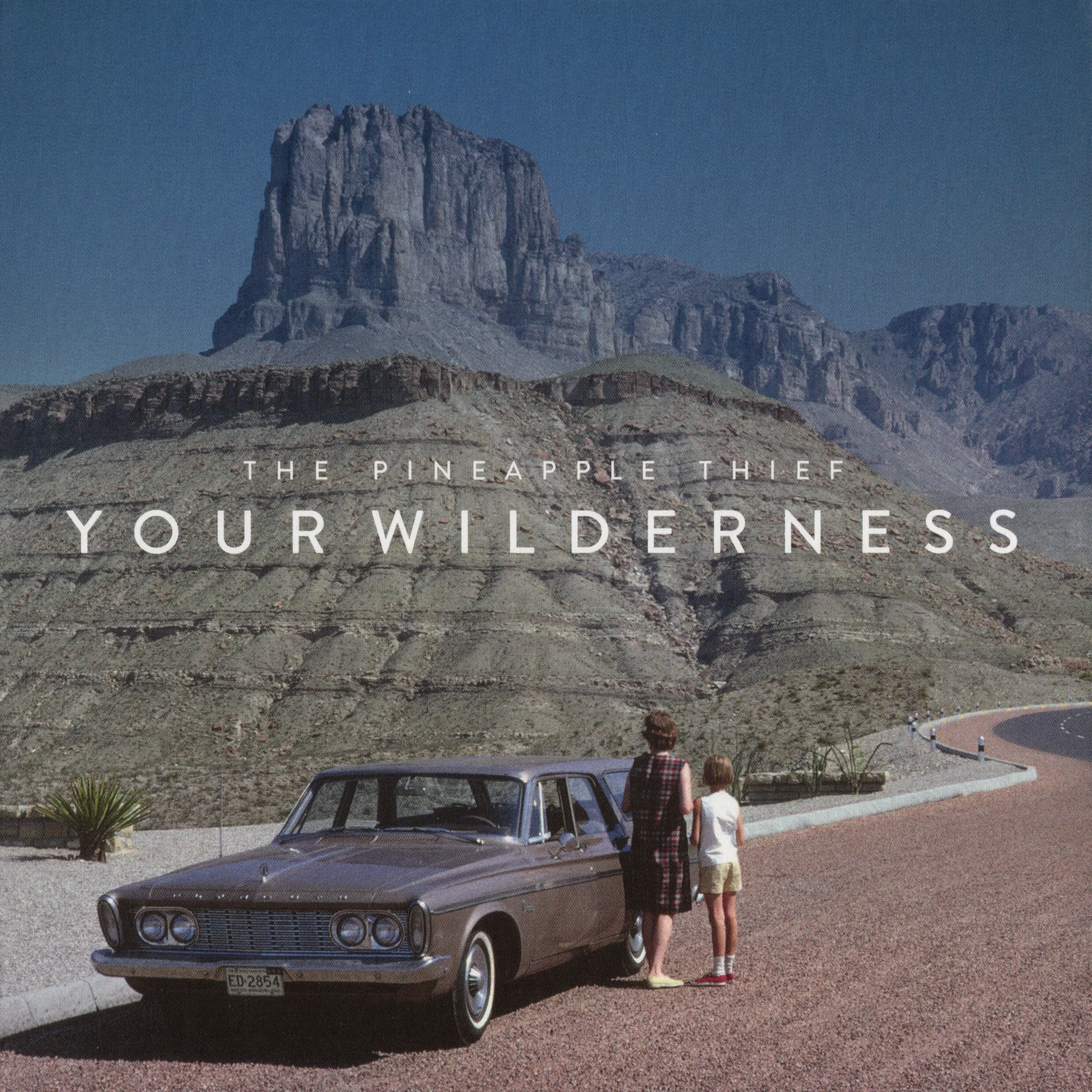 Official album cover artwork for Your Wilderness by The Pineapple Thief