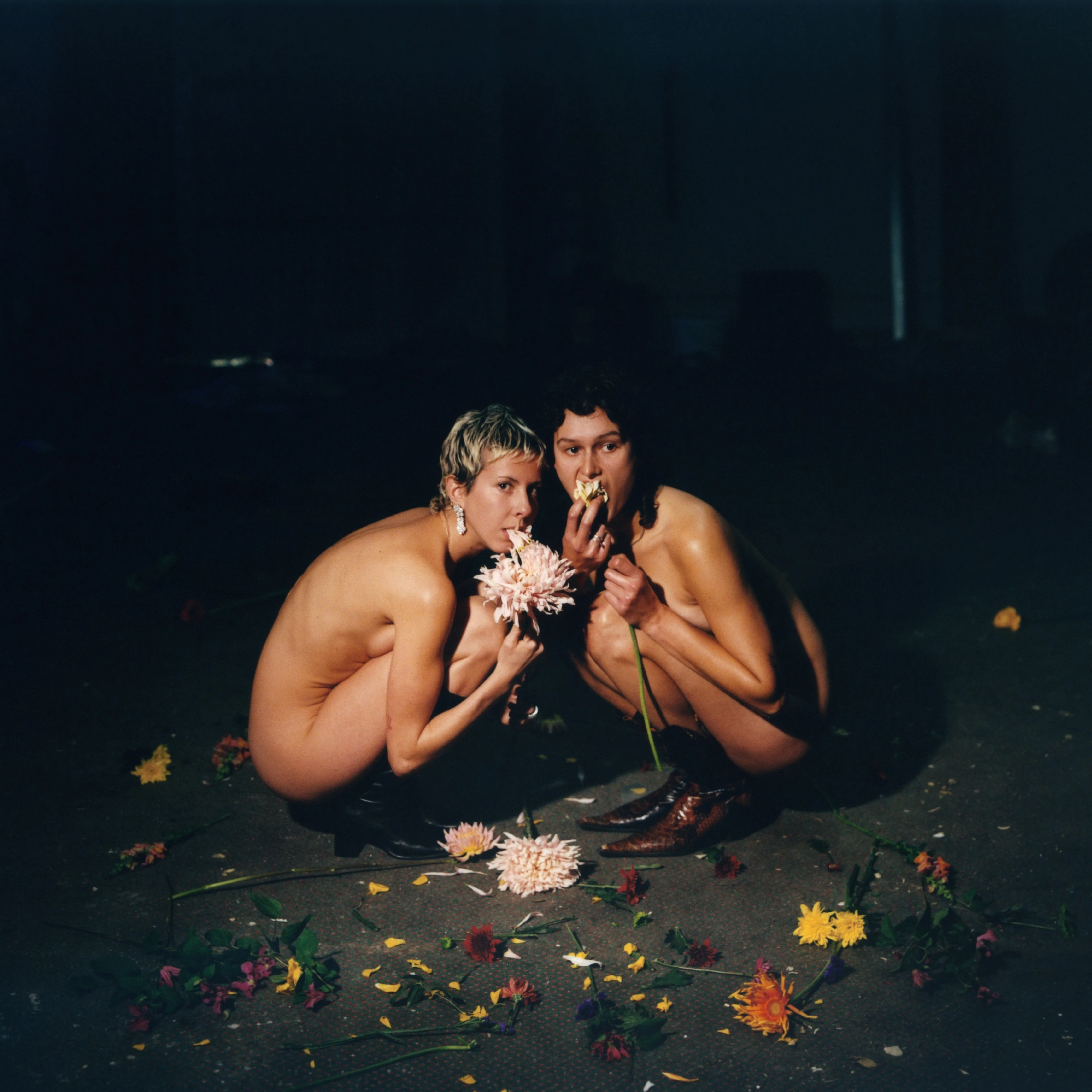 Official album cover art for the release Another Fact by The Umlauts