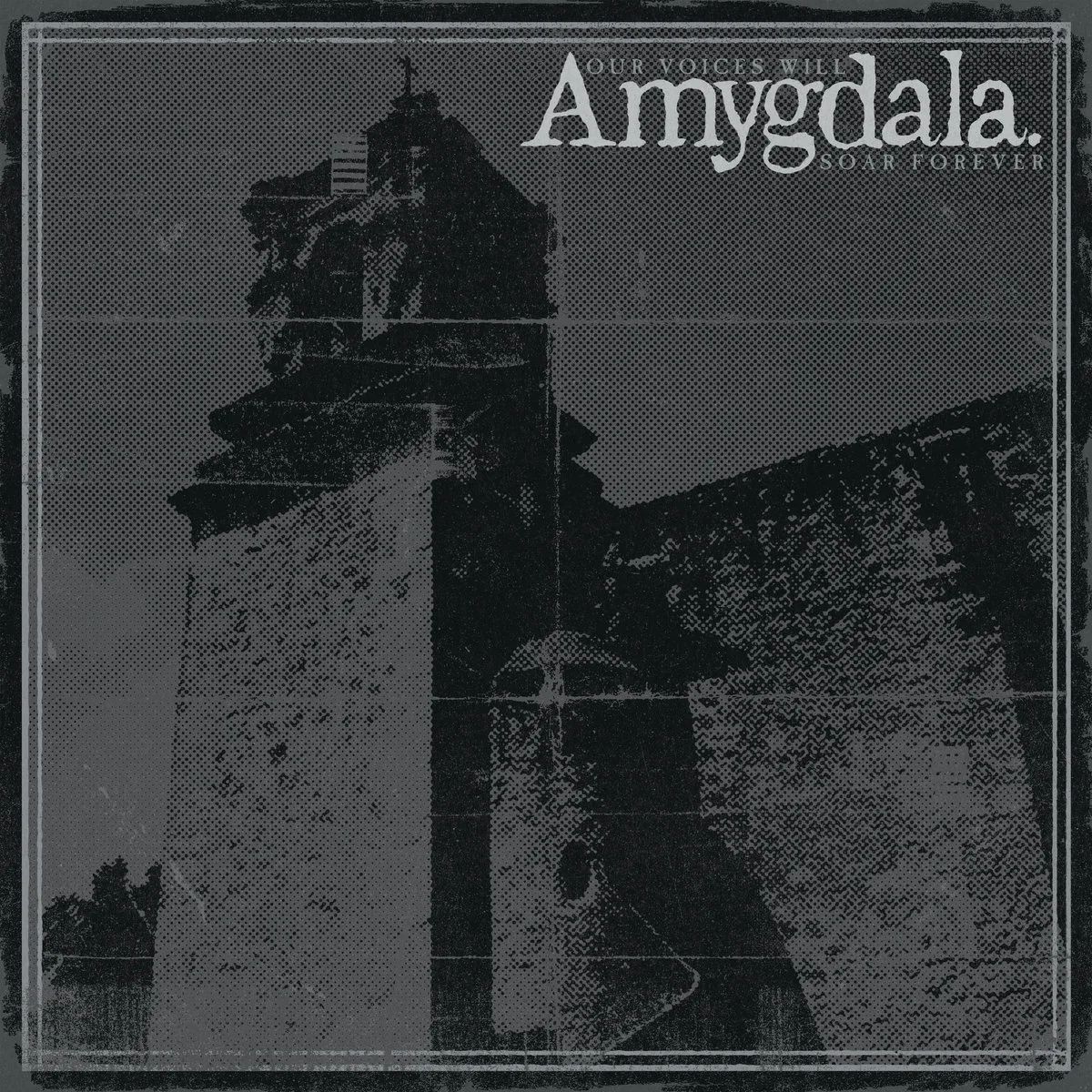 Official album cover art for the release Our Voices Will Soar Forever by Amygdala