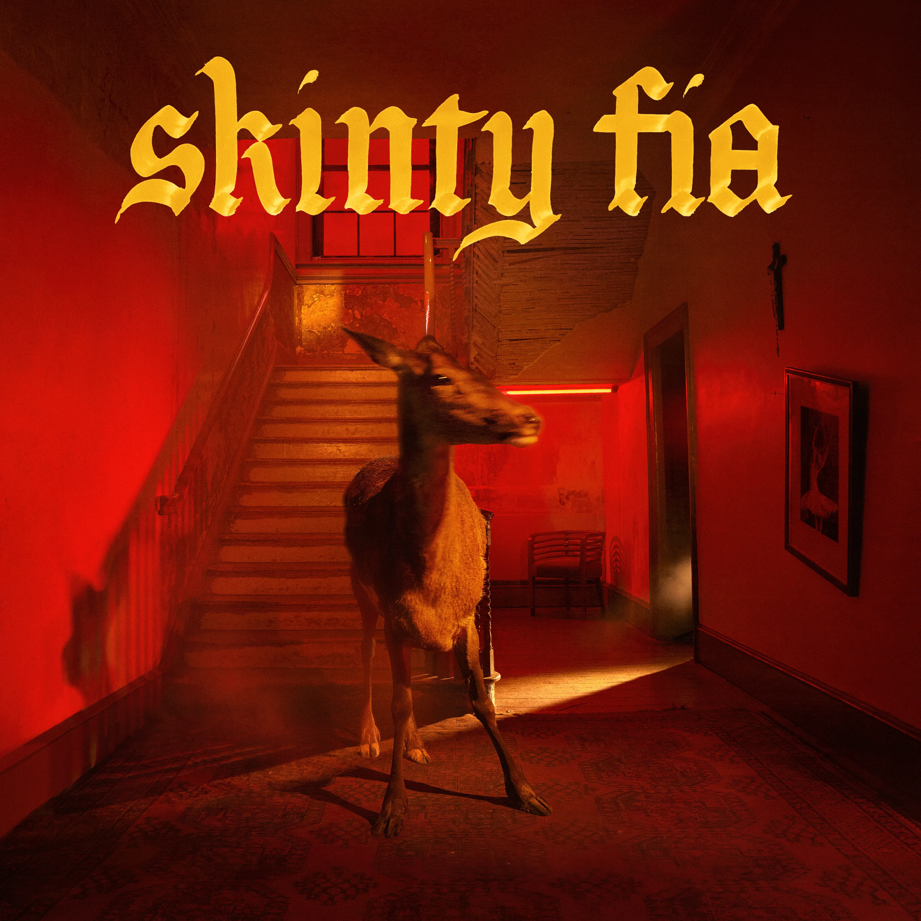 Official album cover art for the release Skinty Fia by Fontaines D.C.