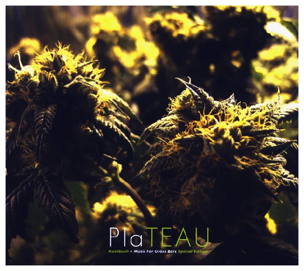 Official album cover art for the release Kushbush by PlatEAU