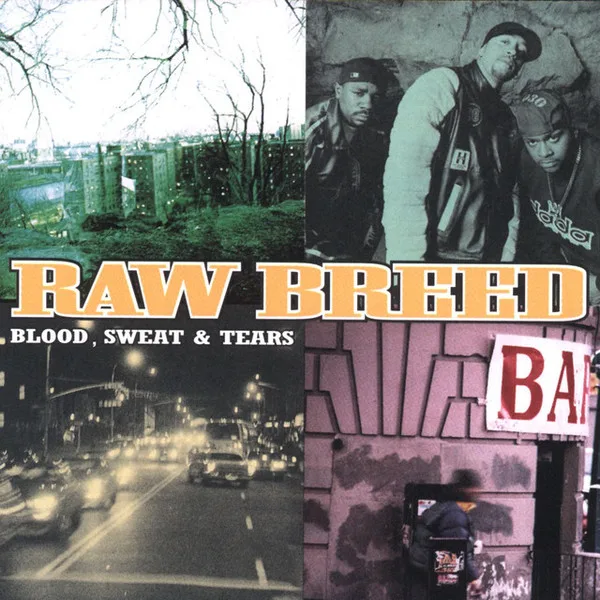 Official album cover art for the release Blood, Sweat & Tears by Raw Breed
