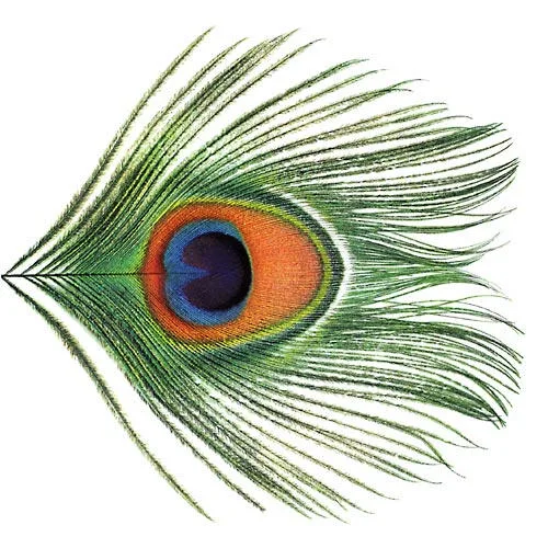 Apple Venus, Volume 1