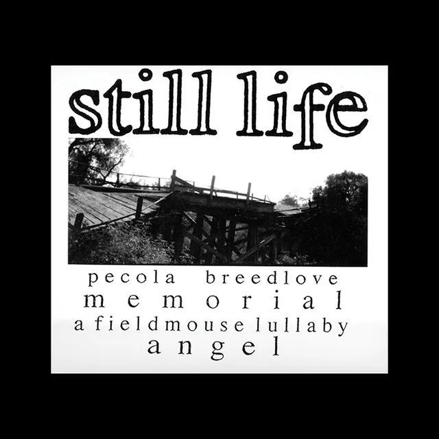 Official album cover art for the release Perdoname Madre by Still Life