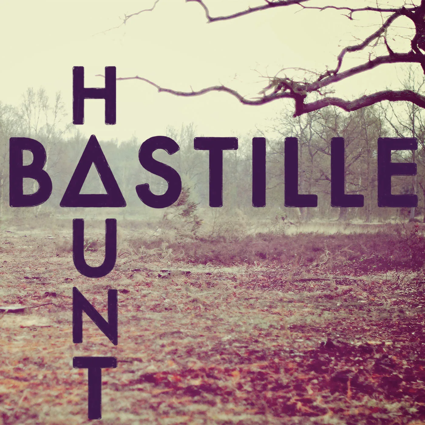 Bad Blood song track artwork featured on the album Haunt by Bastille