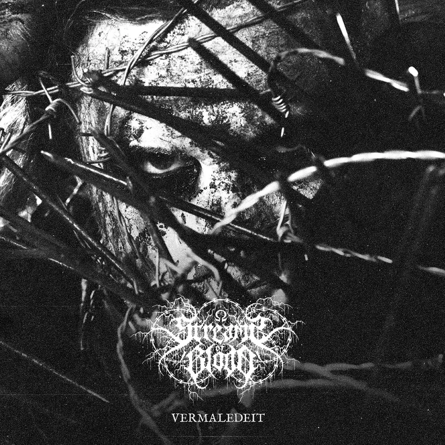 Official album cover art for the release Vermaledeit by Streams of Blood