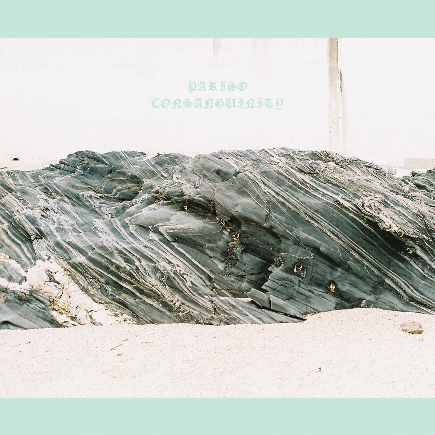 Official album cover art for the release Consanguinity by Pariso