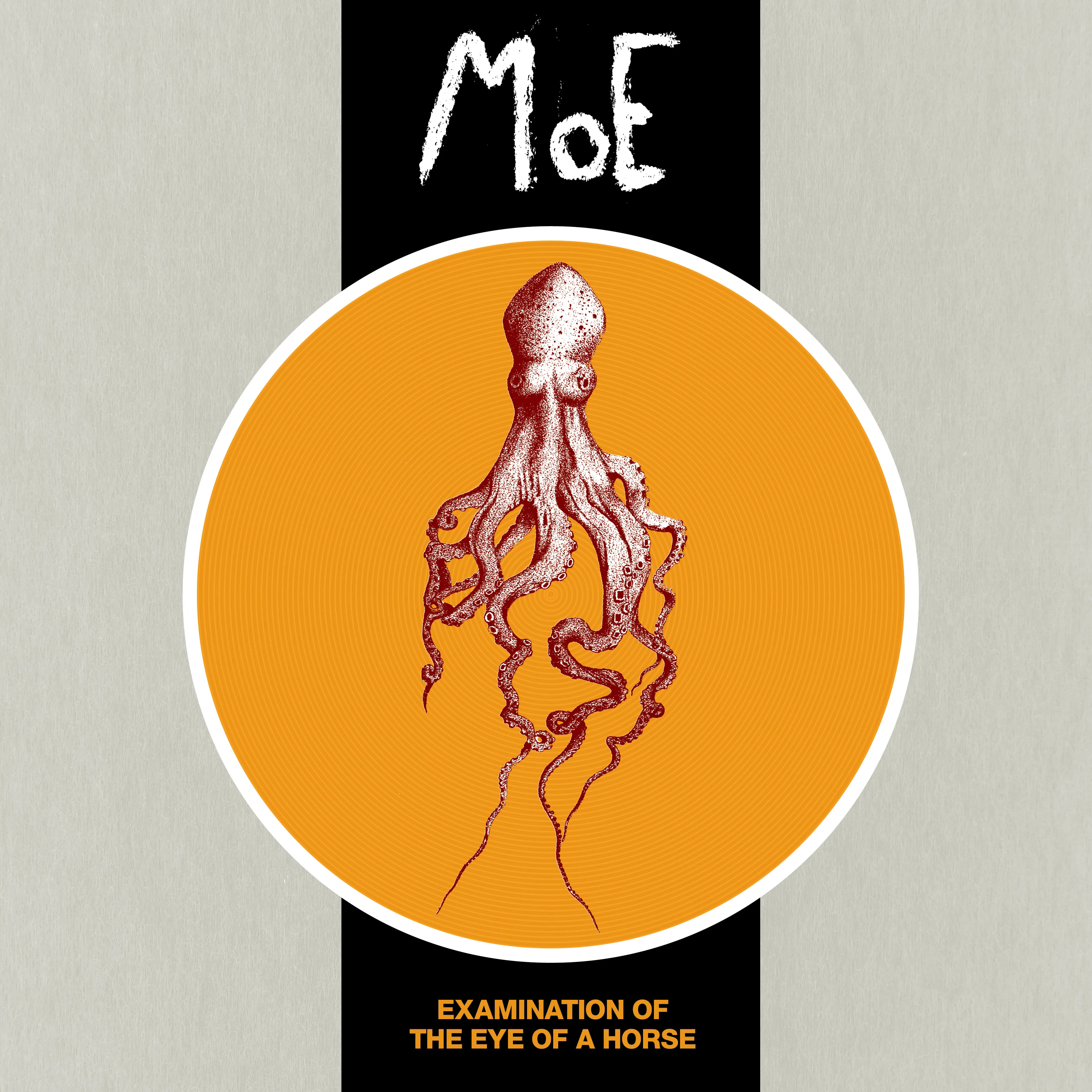Official album cover artwork for Examination of the Eye of a Horse by MoE