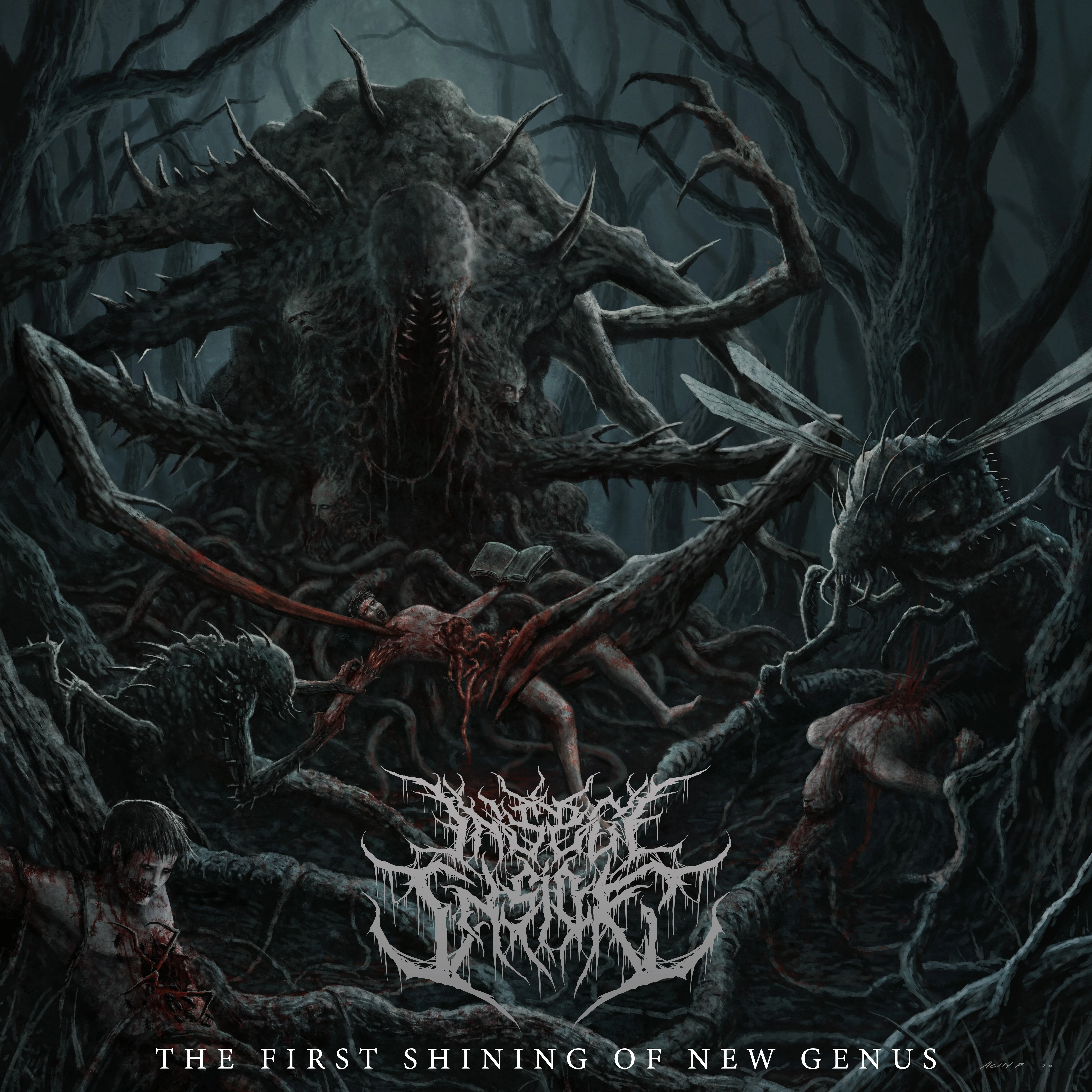 Official album cover art for the release The First Shining of New Genus by Insect Inside