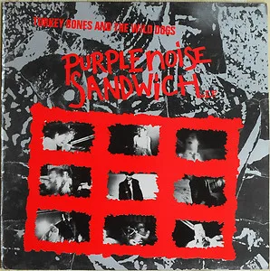 Official album cover art for the release Purple Noise Sandwich by Turkey Bones & the Wild Dogs