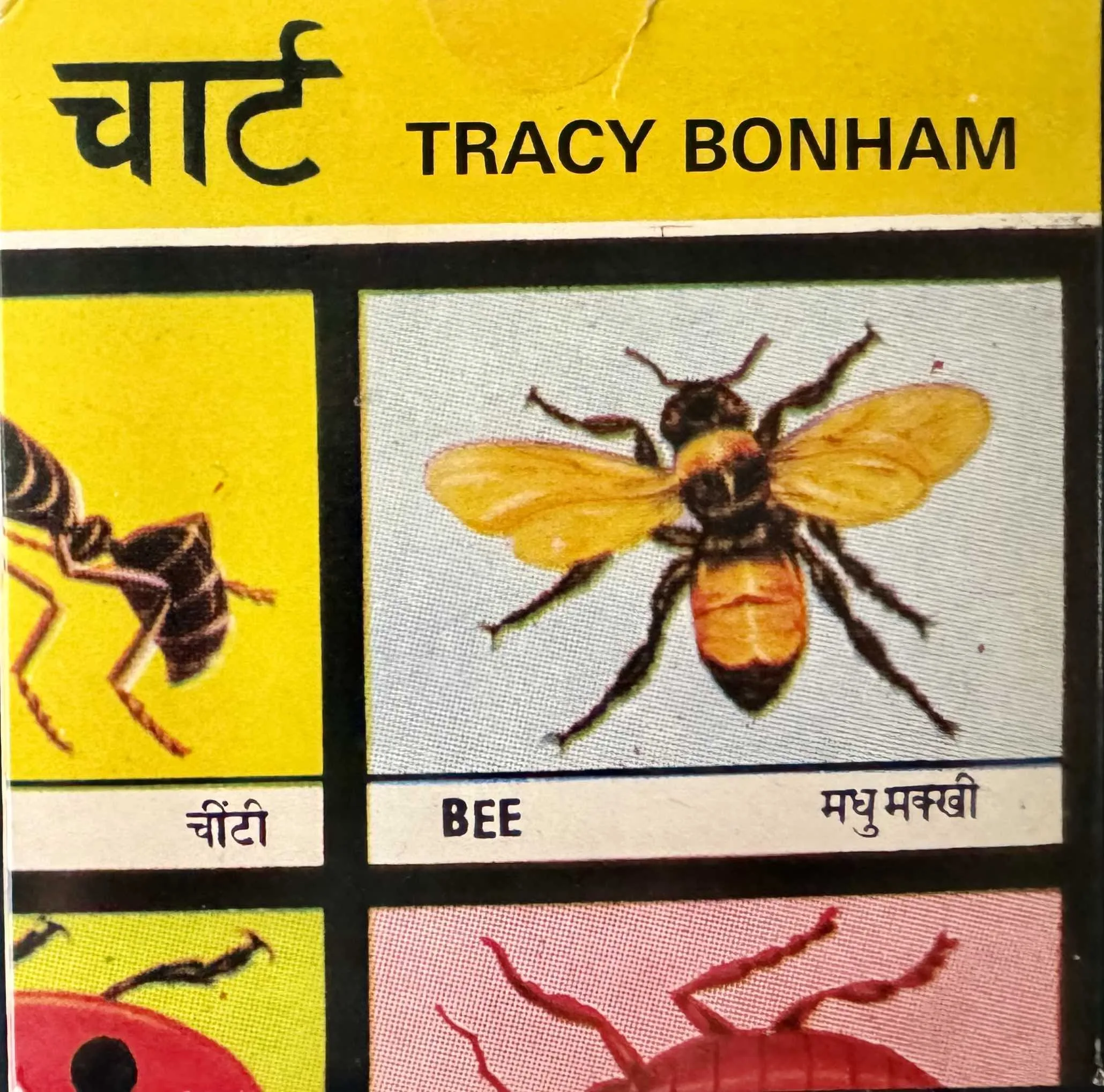 Bee