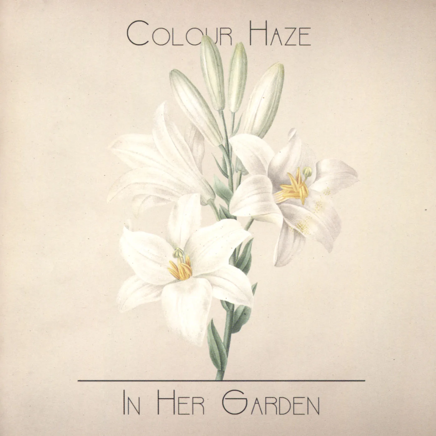 Official album cover artwork for In Her Garden by Colour Haze