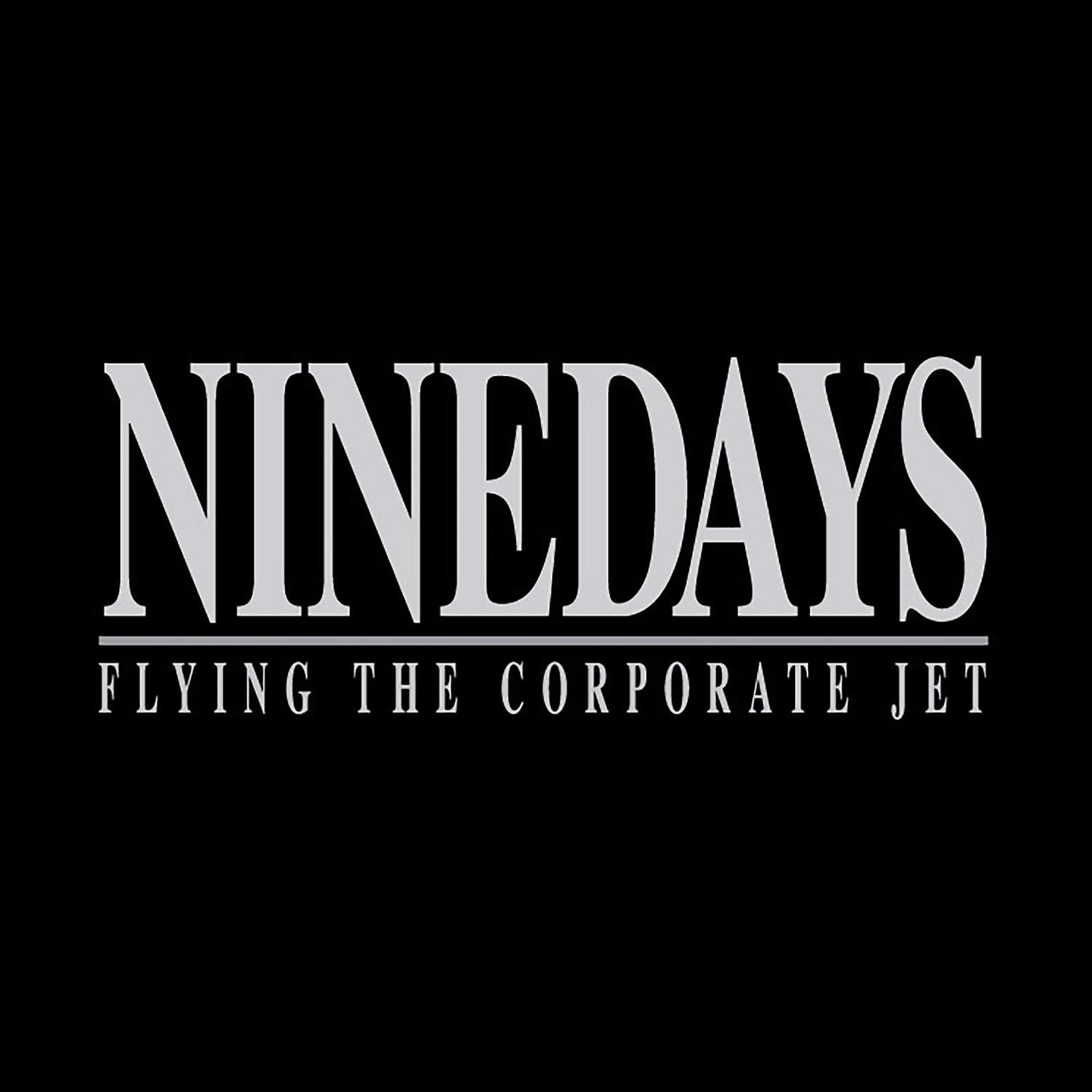 Official album cover art for the release Flying the Corporate Jet by Nine Days