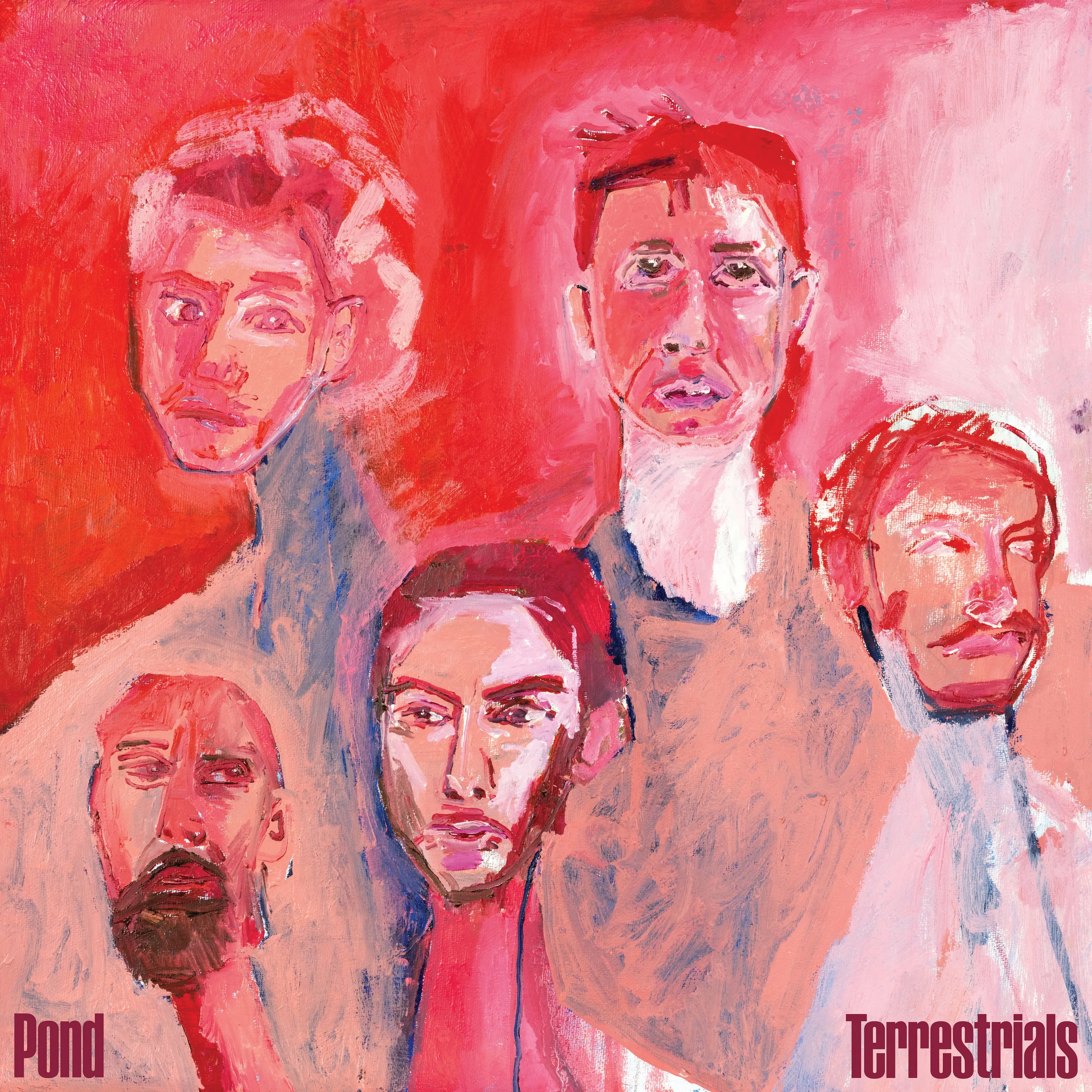 Official album cover art for the release Terrestrials by Pond