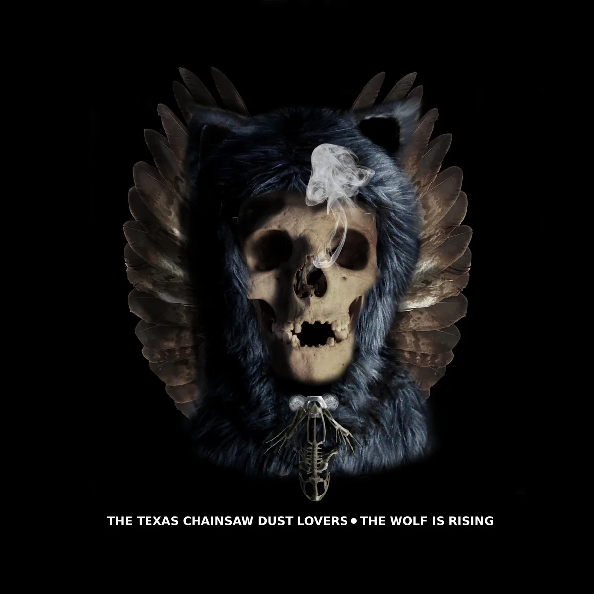 Official album cover art for the release The Wolf Is Rising by Dust Lovers
