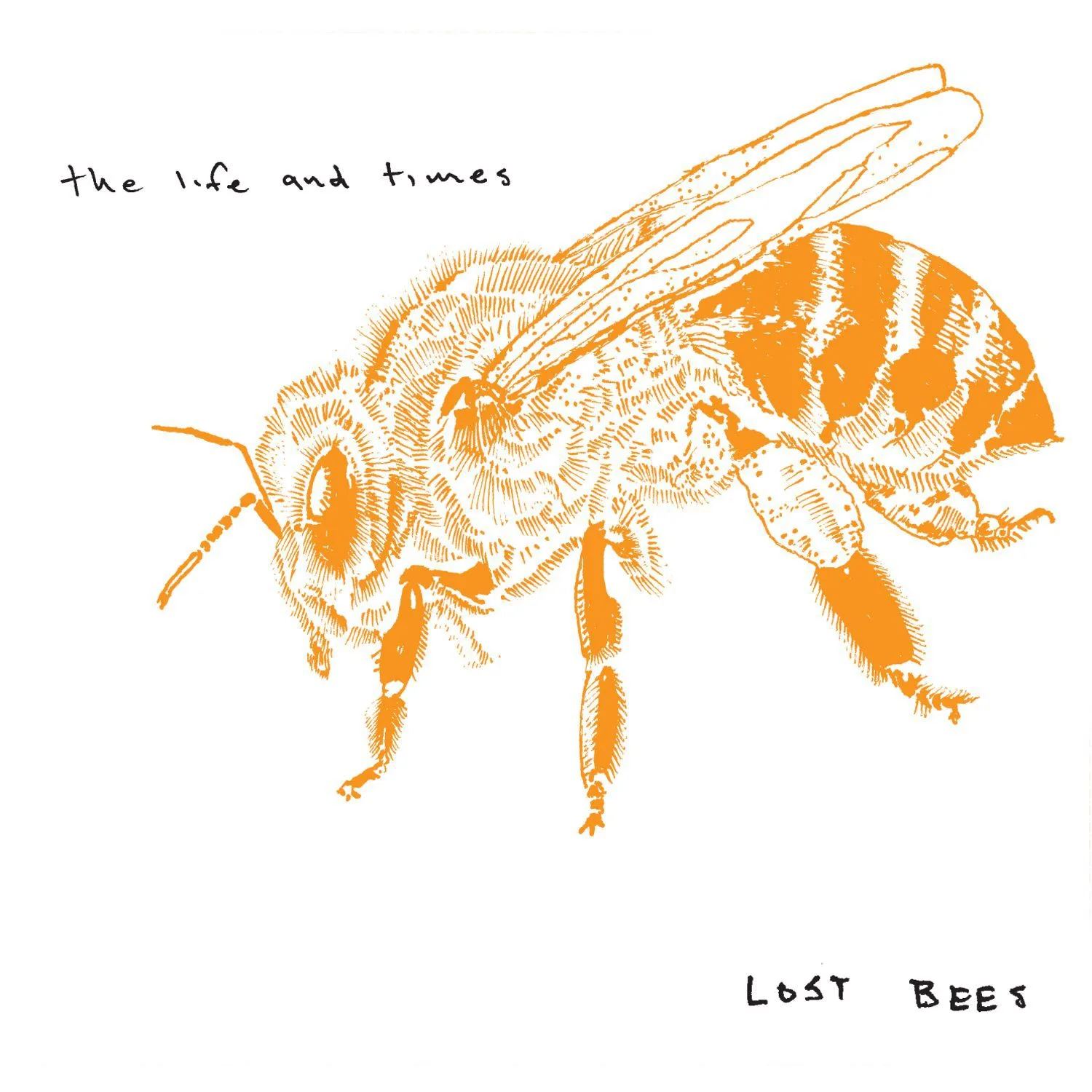 Official album cover art for the release Lost Bees by The Life and Times