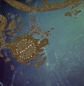 After the Ceiling Cracked