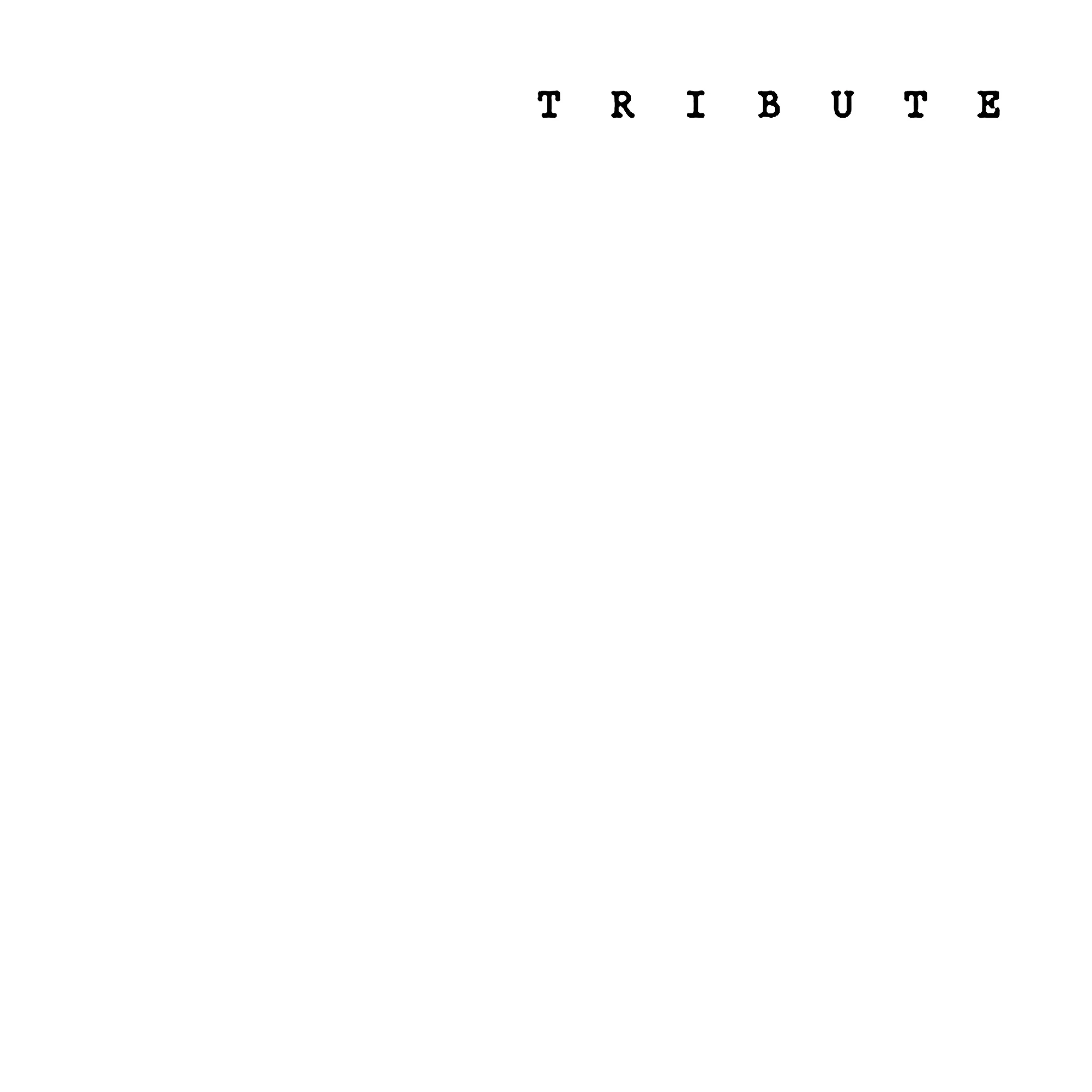 Negativland (Idles Negative Space rework) song track artwork featured on the album Tribute by Neu!