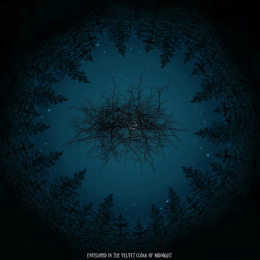 Enveloped in the Velvet Cloak of Midnight