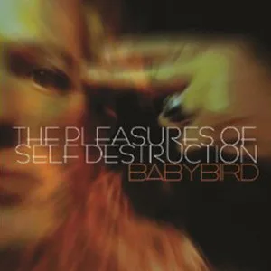 Official album cover art for the release The Pleasures of Self Destruction by Babybird