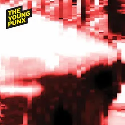 Official album cover art for the release Mashpop & Punkstep : DnB Mixes by The Young Punx