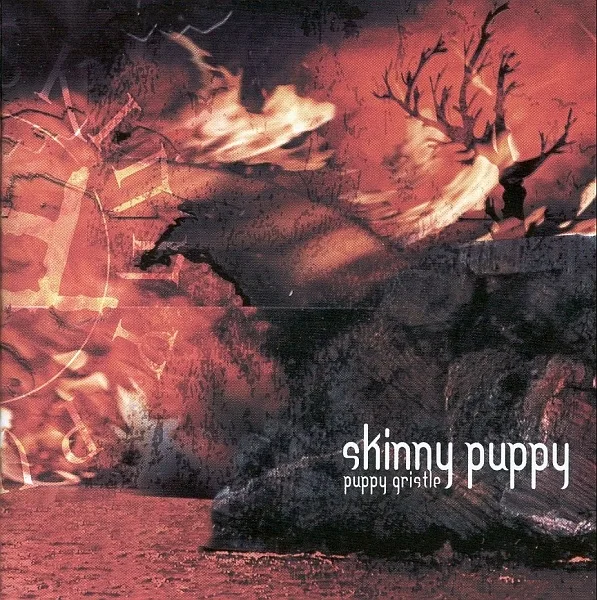Puppy Gristle song track artwork featured on the album Puppy Gristle by Skinny Puppy