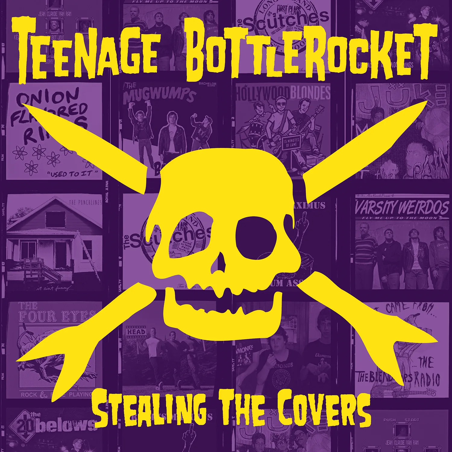 Official album cover artwork for Stealing the Covers by Teenage Bottlerocket
