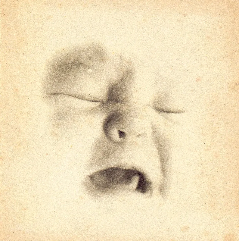 Welcome to the Infant Freebase