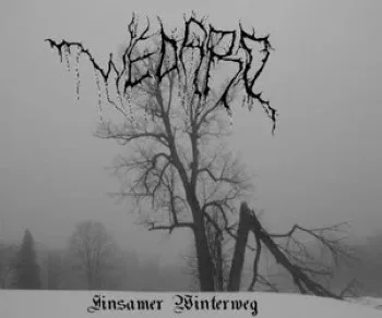 Official album cover art for the release Einsamer Winterweg by Wedard