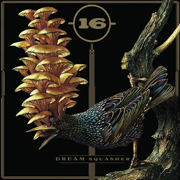 Official album cover art for the release Dream Squasher by 16
