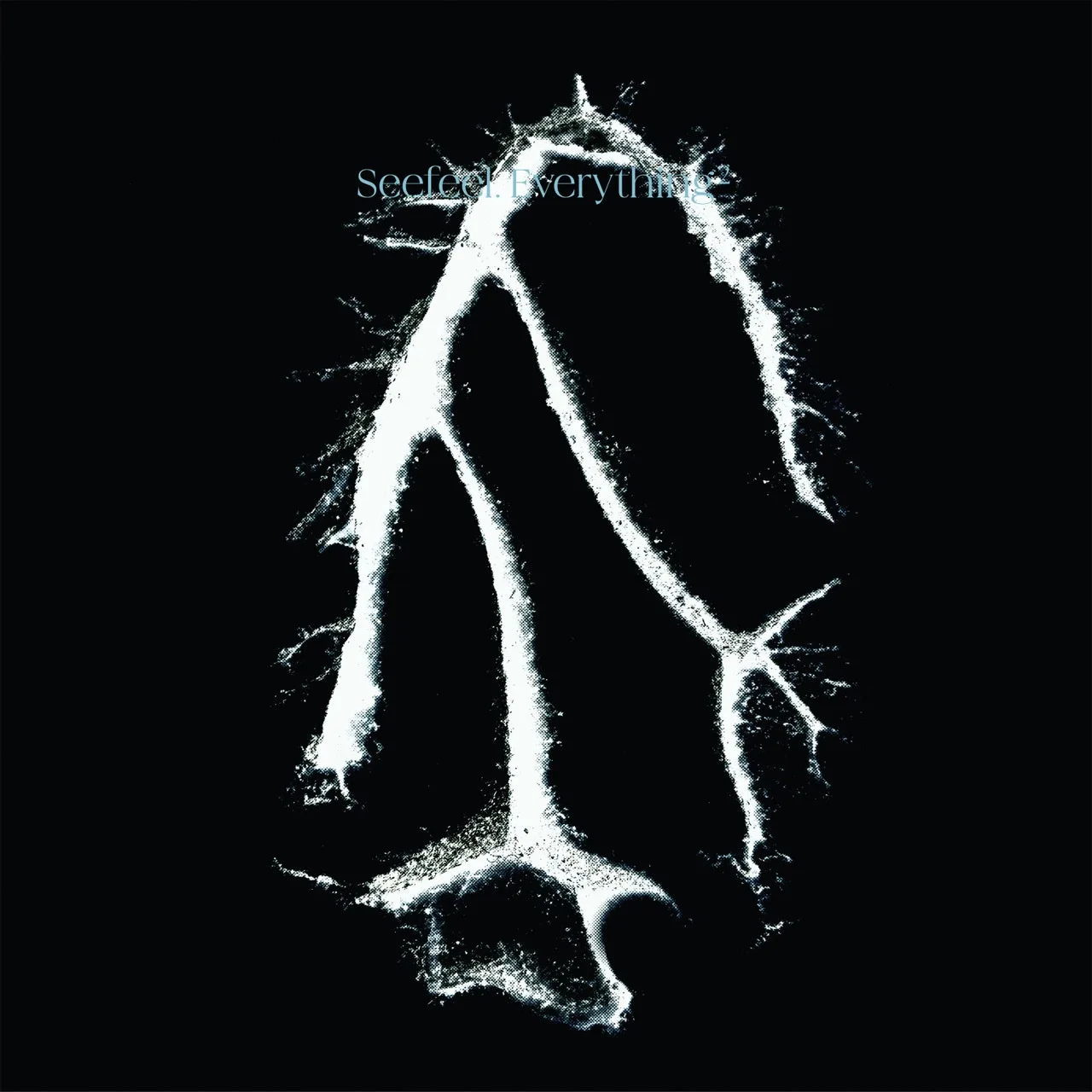 Official album cover art for the release Everything Squared by Seefeel