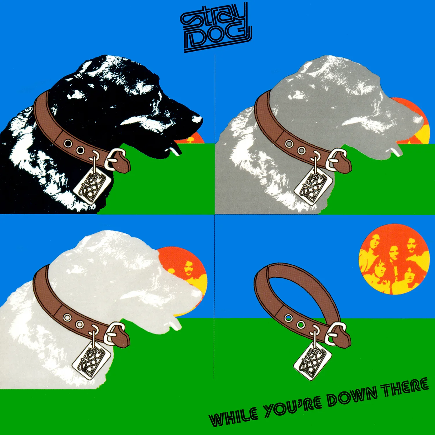 Official album cover art for the release While You’re Down There by Stray Dog