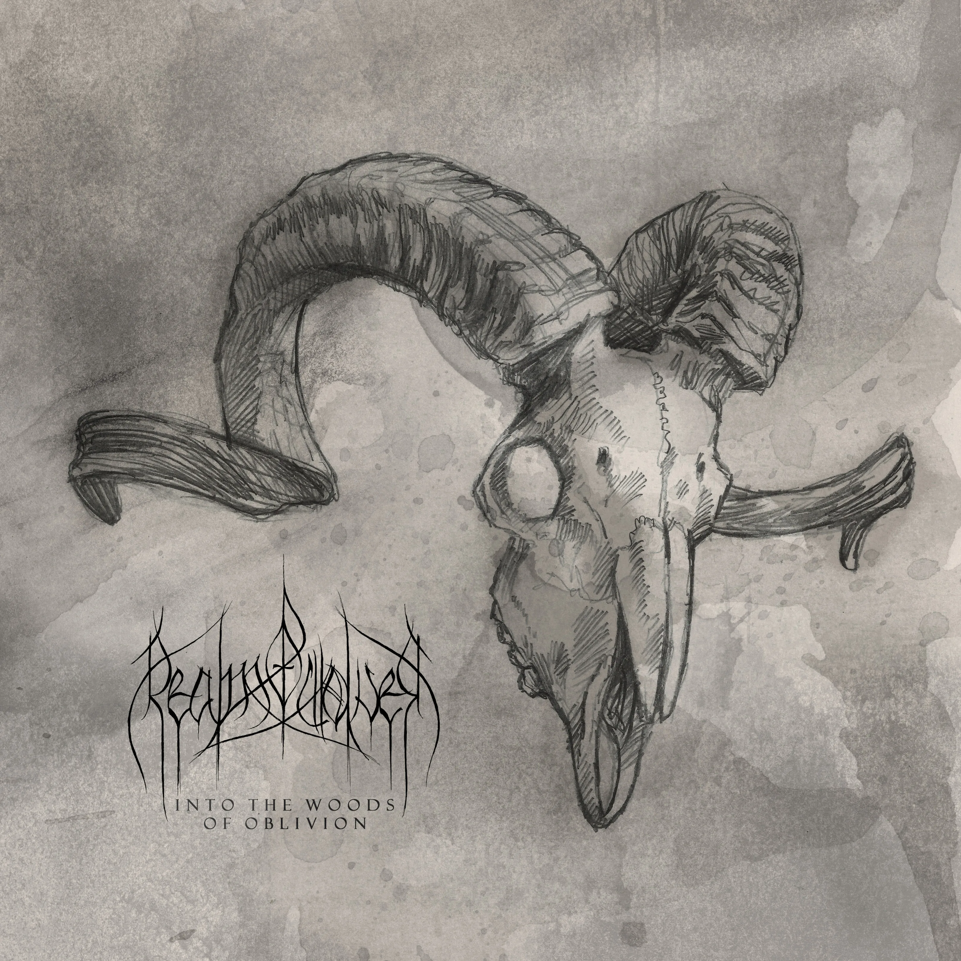 Official album cover art for the release Into the Woods of Oblivion by Realm of Wolves