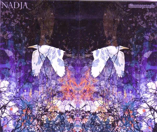 Official album cover art for the release Thaumogenesis by Nadja