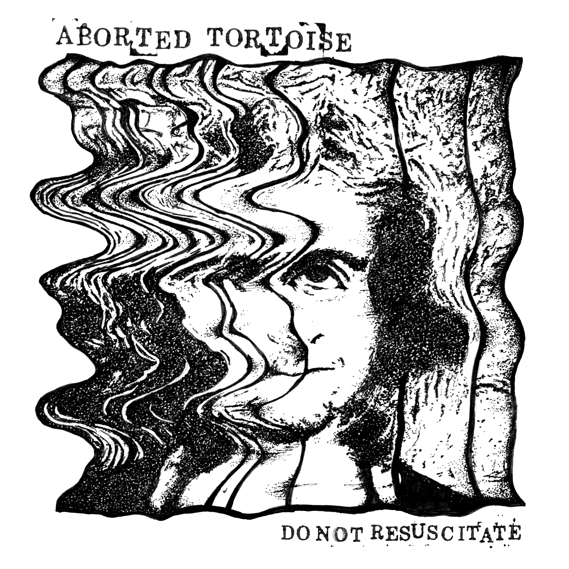Official album cover art for the release Do Not Resuscitate by Aborted Tortoise