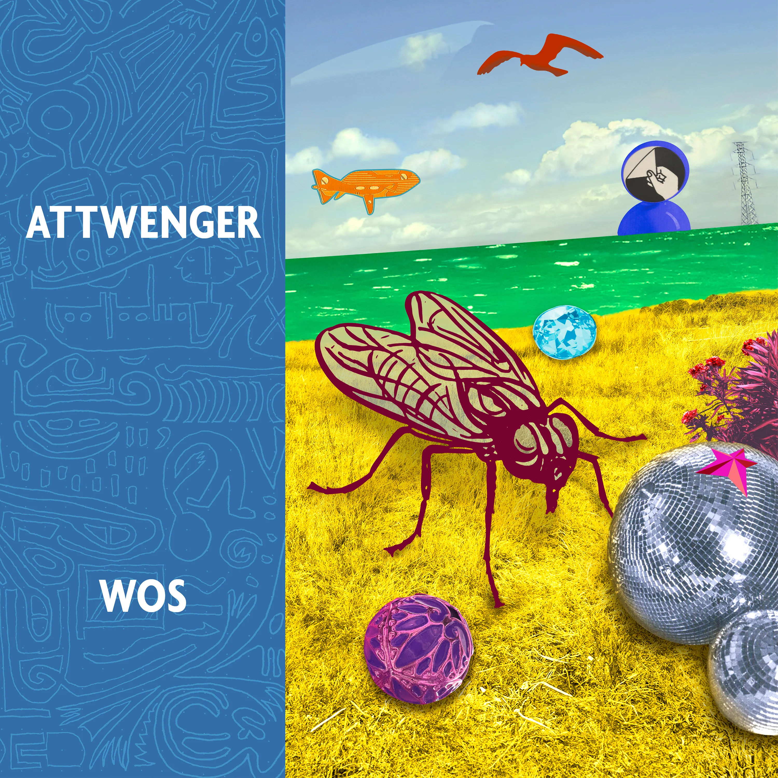 Official album cover artwork for Wos by Attwenger