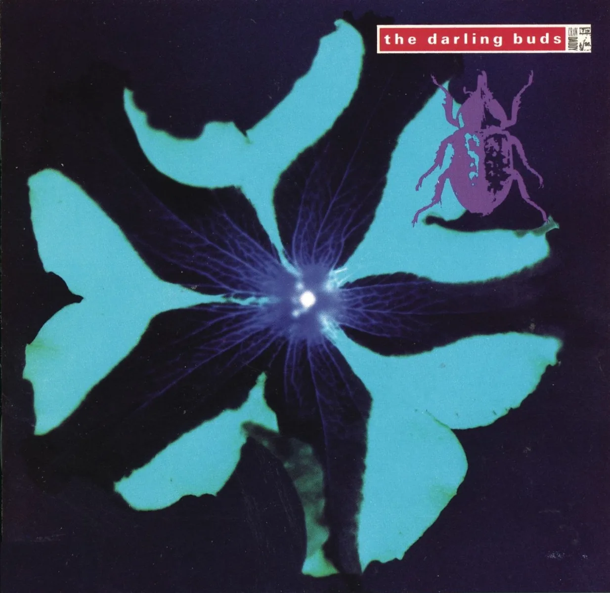 Official album cover art for the release Crawdaddy by The Darling Buds