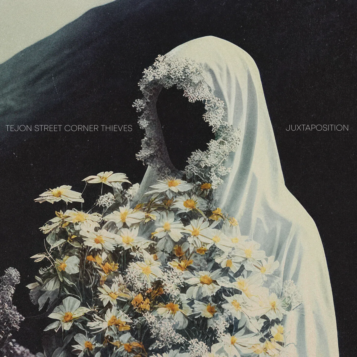 Official album cover art for the release Juxtaposition by Tejon Street Corner Thieves