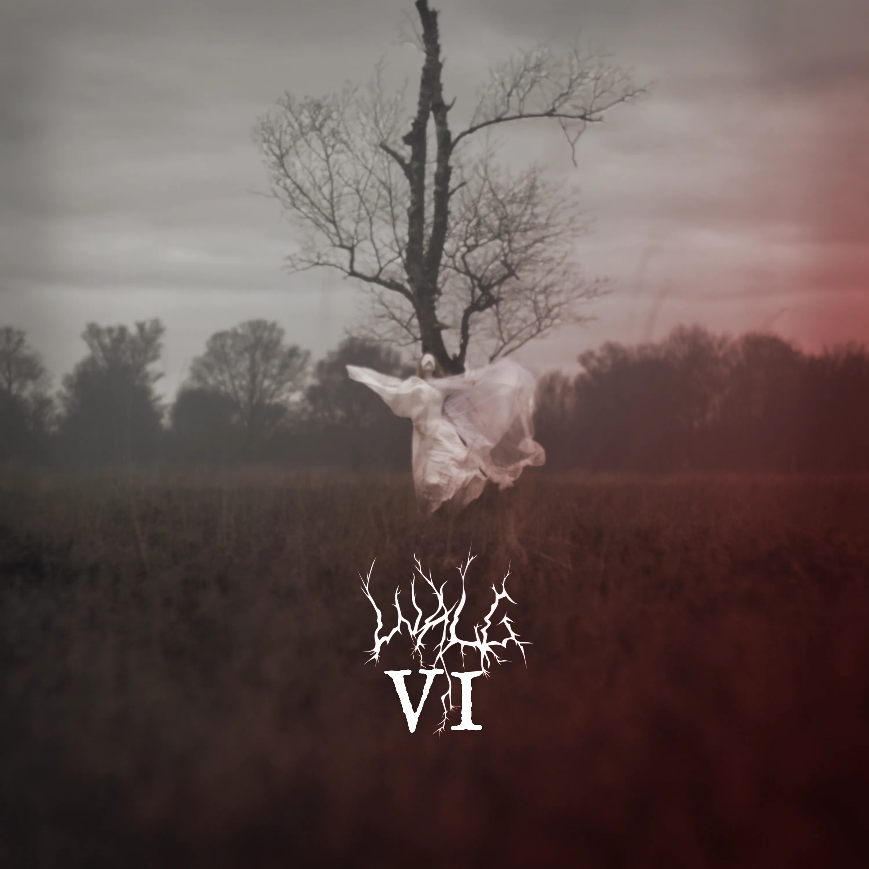 Official album cover artwork for VI by Walg