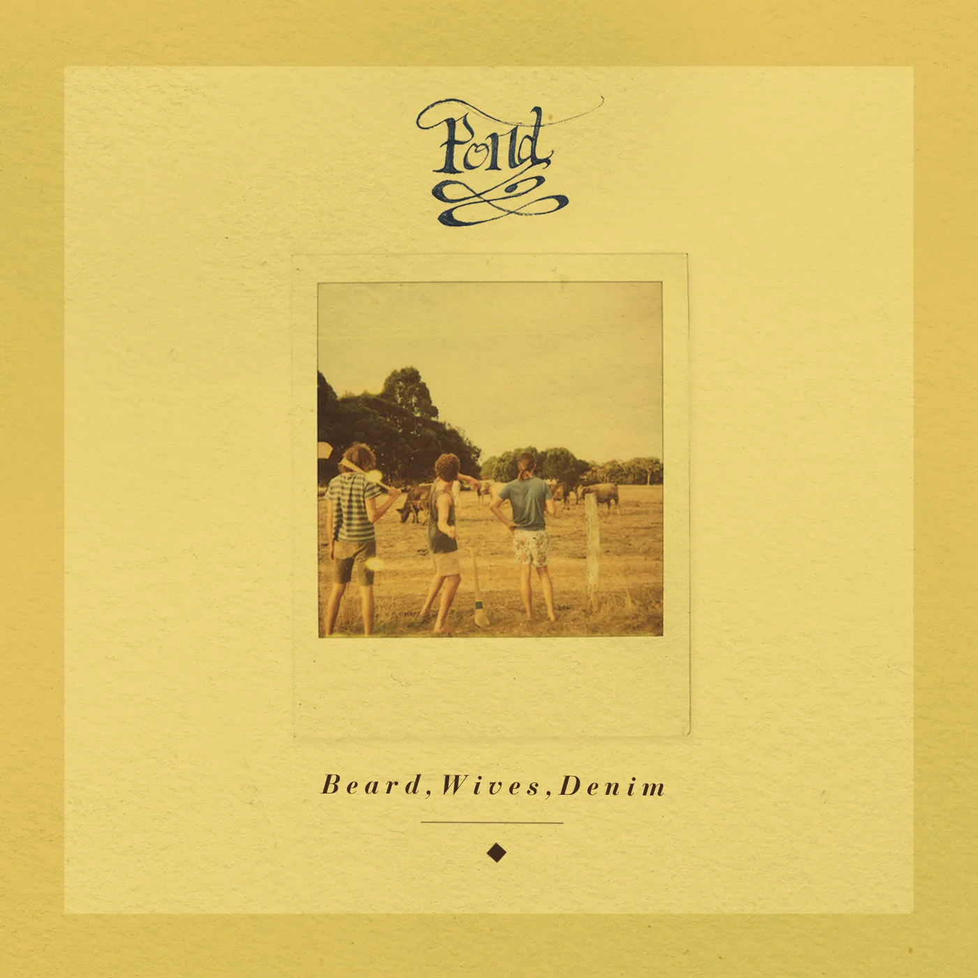 Official album cover art for the release Beard, Wives, Denim by Pond