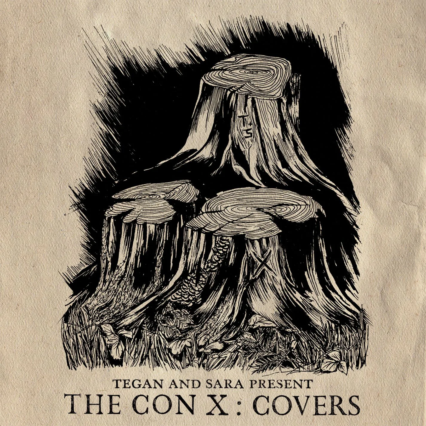 Official album cover artwork for Tegan and Sara Present The Con X: Covers by Tegan and Sara