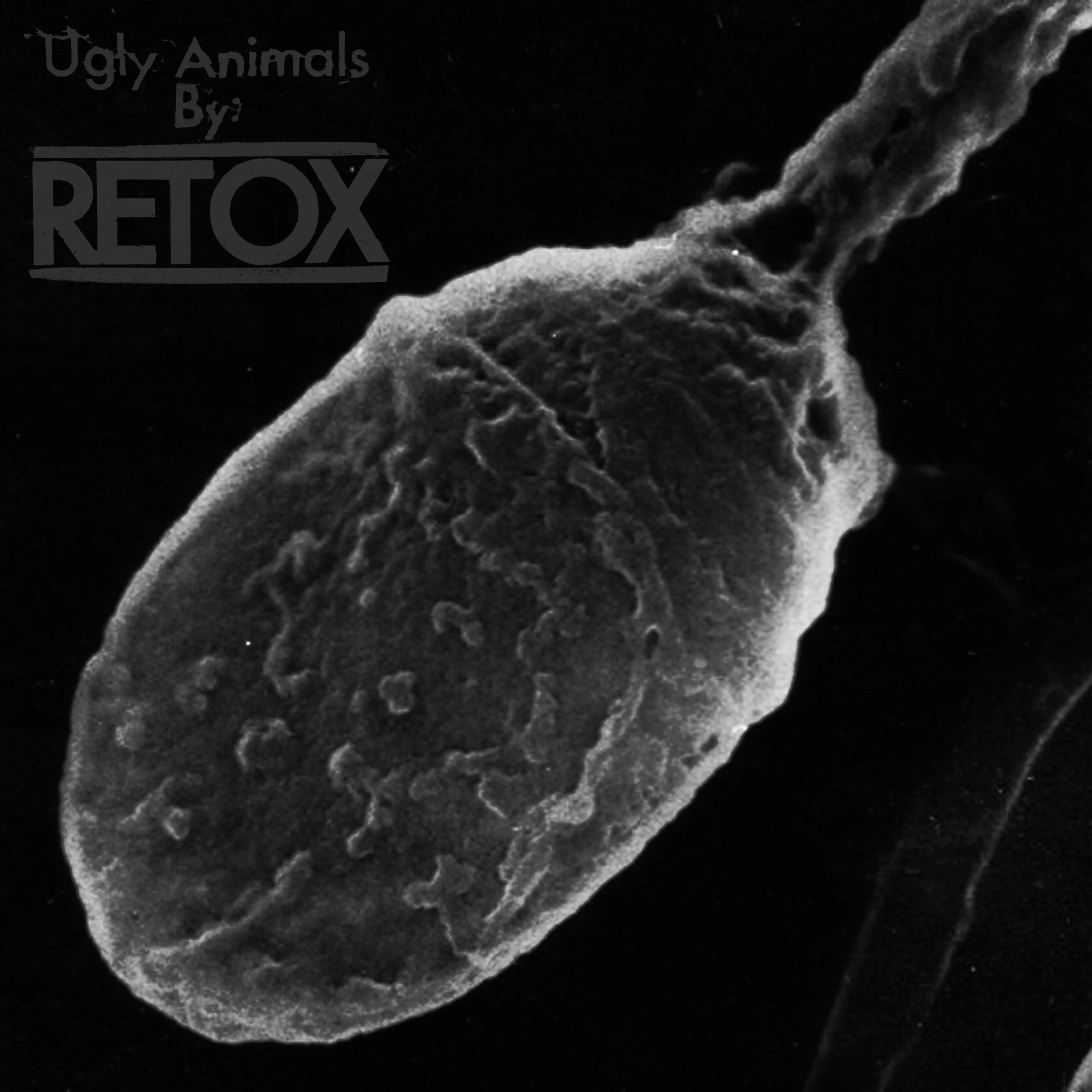 Official album cover art for the release Ugly Animals by Retox