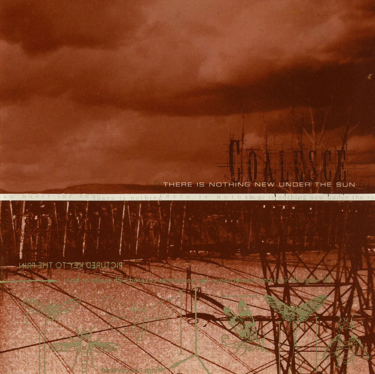 There Is Nothing New Under the Sun