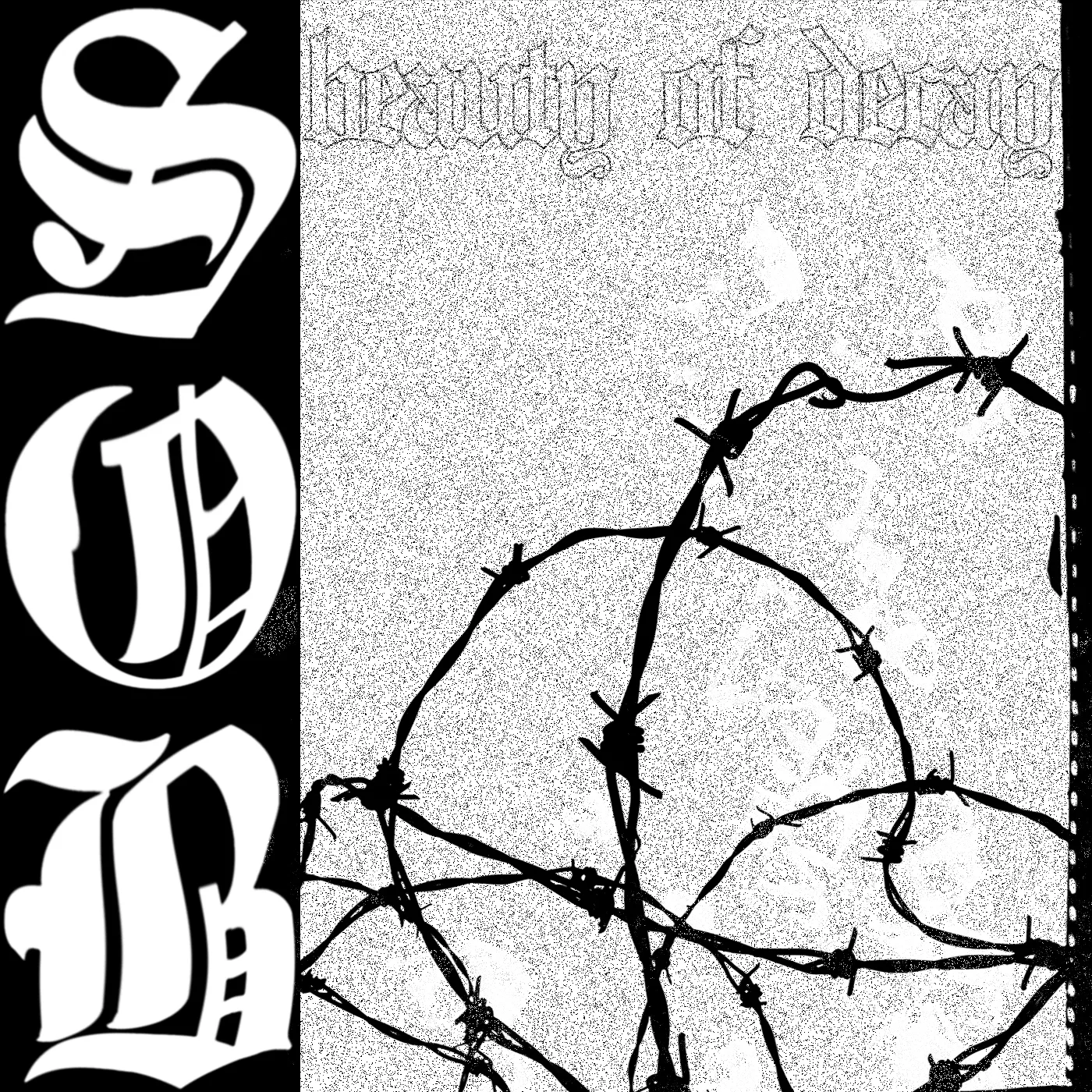 Official album cover art for the release Beauty of Decay by sob